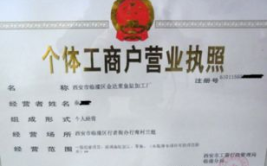 个体户营业执照需要什么材料,必备材料与流程详解