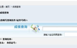 证券从业资格考试成绩查询时间,“2025年证券从业资格考试成绩查询时间及查询方法详解”
