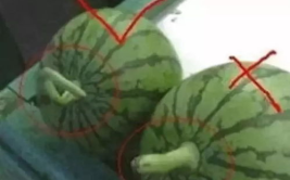 如何制作娱乐圈吃瓜素材,如何轻松制作热门吃瓜素材