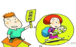 离婚孩子的抚养权怎么判定标准,法律、情感与现实的交织
