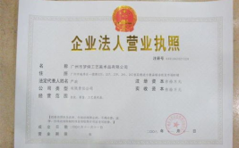 办营业执照需要哪些资料,必备资料与流程详解