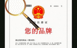 商标注册申请,流程、注意事项与费用解析