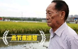 袁隆平的简短小故事,一生耕耘，改变世界”