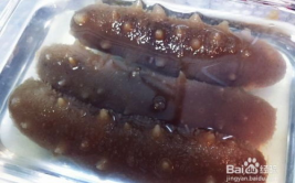 怎么泡发干海参最佳方法,揭秘干海参泡发最佳秘籍