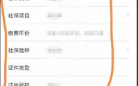 交社保在手机上怎么交,社保缴费指南