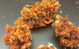 海参的吃法与做法视频,多样吃法与烹饪技巧全解析
