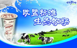 奶牛梦工厂加盟,绿色健康奶源，共创财富未来