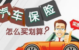 车险最主要买哪几种,必买险种解析，保障您的行车安全