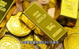 黄金价,市场动态与投资参考