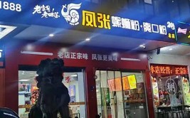 年夜除夕饭：南北方特点菜肴大揭秘你吃过几种？及各地妈妈除夕饭里的拿手菜你pick哪一路？及2025菜谱大全 南北方春节菜谱区别大 ，起亚K5凯酷 优惠计谋