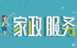 家政服务网站,构建便捷家庭服务新平台